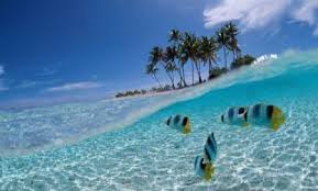 Image result for Taman Laut Olele