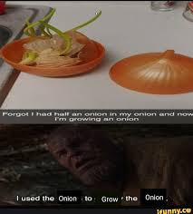 Forgot I Had Half An Onion In My Onion And Now I M Growing An Onion I Used The Onion To Grow The Onion Ifunny Memes Avengers Memes Clean Memes
