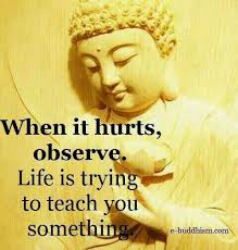 Rintyeryeѕt Fruityanji Buddha Quotes Inspirational Buddha Quote Buddhism Quote