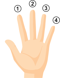 Image result for finger