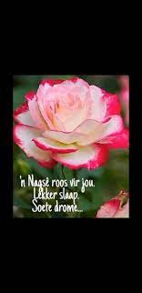 pin by yvonne nagel on nag goodnight wishes day wishes goeie nag