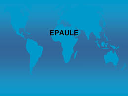 Leur rôle est de mobiliser le calcium fixé sur le tendon pour permettre son élimination. Ppt Traitement Par Ondes De Choc Extracorporelles Powerpoint Presentation Id 859435