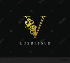 Vintage gold drawn emblem for book design, brand name, . Gold Letter V Logo V Vector Photo Free Trial Bigstock