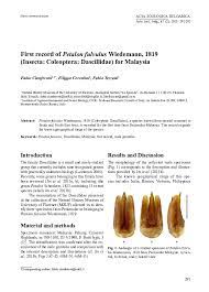 Also, the time difference between malaysia and washington, dc, united states of america is 12 hours. Pdf First Record Of Petalon Fulvulus Wiedemann 1819 Insecta Coleoptera Dascillidae For Malaysia Filippo Ceccolini And Fabio Cianferoni Academia Edu