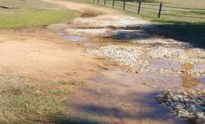 When your leachfield is in good working condition, it helps to ensure the wastewater from the house is released back into the water cycle after it has been if you notice soil sinking or collapsing over your leachfield, then it is an indication that your leach field is damaged. Quick Guide To Residential Septic Pumping Myers Septic Services