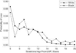 week specific probability of pregnancy loss by race among