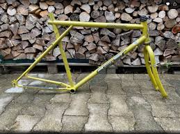 Image result for Mimosa Yellow 1990 Tracer