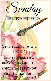  Sunday Blessings Sunday Sunday Quotes Happy Sunday Sunday Blessings Sunday Quote Happy Sunday Quotes Blessed Sunday Quotes Happy Sunday Quotes Blessed Sunday