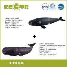 Koleksi video paus sperma terbaru. 2 Pcs Lot Kambuh Mainan Paus Sperma Paus Kanan Model Tangan Dicat Pvc Aksi Gambar Lembut Mainan Hewan Laut Hadiah Untuk Anak Pendidikan Pvc Action Figure Gifts For Kidsmarine Animal Aliexpress