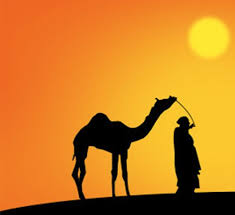 Jan van bekkum 10 год. Pin On Camels