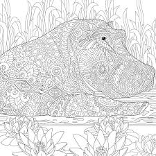 Here is a way to have fun coloring while learning about the living world. Pin On Antistressovye Raskraski