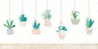 Botany Hanging Cactus Collection Vector Premium Image By Rawpixel Com Cute Laptop Wallpaper Cute Desktop Wallpaper Cute Simple Wallpapers