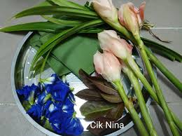 Description for projek tanam bunga kantan 5. Petua Buat Pokok Kantan Kerap Berbunga Dan Sihat Sebelum Dituai Impiana