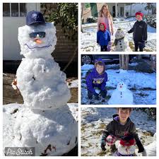 Mandeville Revolution Baseball