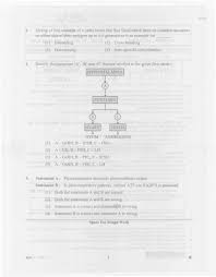We did not find results for: Kcet 2014 Question Paper Biology