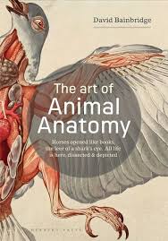 Book Review The Art Of Animal Anatomy All Life Is Here Dissected And Depicted Animal Anatomy Pencil Drawings Of Animals Feline Anatomy