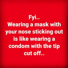 Wearing A Mask With Your Nose Memes Funny Quotes Sarcastic Quotes Mask Quotes