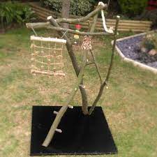 bird or parrot tree diy stand that me and my partner made in just 3 hours all you need is branches of a tree a saw toys a diy parrot toys