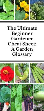 Gardening Terms And Words Vocabulary For All Skill Levels Nourishing Pursuits Gardening For Beginners Gardening Tips Backyard Vegetable Gardens