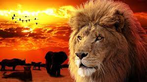 The Big Five Cross Paintings Diamond Painting Painting Kits