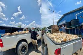 Caranya cukup mudah yaitu dengan meletakan bahan. Video Awek Getah Tak Peduli Setiap Hari Bergelumang Bau Busuk Mulut Orang Bukan Kita Boleh Tutup