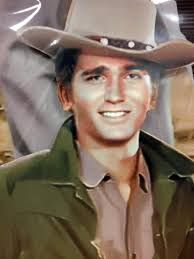 Dan Blocker, Hoss Cartwright Joe Lifesize Cardboard Cutout. Buy Bonanza  cutouts, standups & standees at starstills.com