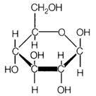 Biological Science Freeman 6th Edition Quizlet This Is A Monomer Of A Carbohydrate What Are Carbs Carbohydrates Free Energy