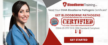 Complete the free bloodborne pathogens training online. Online Bloodborne Pathogen Training A Quick And Easy Option For Certification