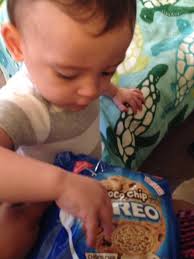 Chipmunk Oxo crisps loved them.