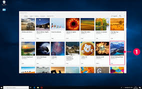 Here's a list of the top 11 mouse pointer themes that you should try. Customize Windows 10 How To Apply Various Designs To Your Windows Desktop Ashampoo