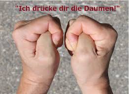 13 Glucksschwein Ideen Glucksschwein Gluck Glucks Schwein