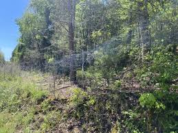 Homes for sale ten mile tn. Ten Mile Homes For Sale Ten Mile Tn Real Estate Movoto