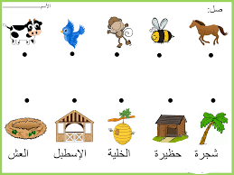 اوراق عمل وحدة المسكن المرسال