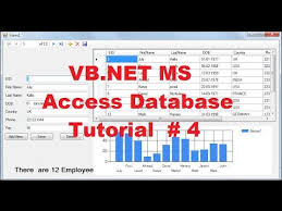 vb net ms access database tutorial 4 how to use chart graph with local database in vb net