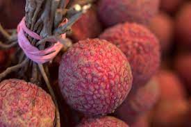 This deliciously sweet exotic fruit takes some time to grow, but it is well worth it! How To Grow Lychee Trees How To Grow Lychee Growing Sprouts Lychee Seeds