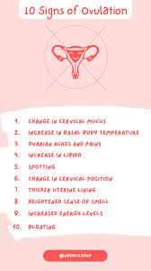 Image result for Ovulation