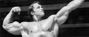 Pumping iron depicts two major competitions: Arnold Schwarzenegger Posted A Stellar No Gym Workout On Reddit