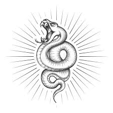 Snake Tattoo Stock Illustrations 7 677 Snake Tattoo Stock Illustrations Vectors Clipart Dreamstime This snake tattoo for your feet is feast for the eyes. snake tattoo stock illustrations 7
