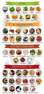 Cat And Dog Food Poinson In 2021 Foods Dogs Can Eat Healthy Dog Food Recipes Foods Cats Can Eat