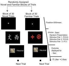 Maybe you would like to learn more about one of these? Brain Sciences Free Full Text Common And Distinct Functional Brain Networks For Intuitive And Deliberate Decision Making Html