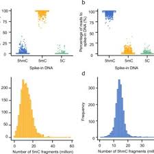 Image result for tbn:NPPRMe2lt8--qM::gallery.dll3.com/data/media/5/mw40_L.jpg