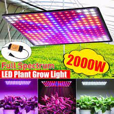 A wide variety of grow light for indoor plants walmart options are available to you, such as project installation, dialux evo layout, and auto cad layout. 2000w 225 Led Grow Light Full Spectrum Plant Lights For Hydroponics Greenhouse Seedling Veg And Flower Walmart Com Walmart Com