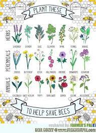 50+ flowers to grow in a bee friendly garden. Bee Crisis Mystery The Buzz On Vanishing Bees And How You Can Help Bee Friendly Plants Bee Friendly Garden Plants