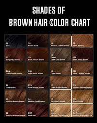Brides Want To Find Themselves Having The Ideal Wedding Ceremony But For This They Need The P Brown Hair Shades Brown Hair Color Chart Brown Hair Color Shades