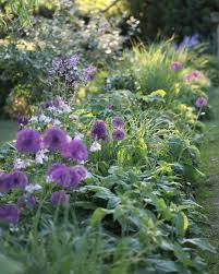 M A Y Beautiful Flowers Garden Garden Works Beautiful Gardens