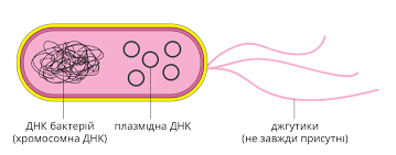 Роль