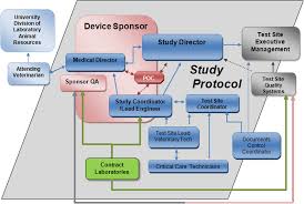 Flow Chart Of Personnel Involved And The Flow Of