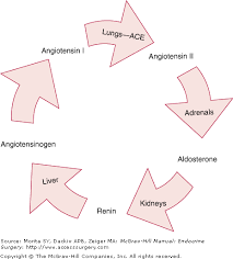 Image result for Hyperaldosteronism