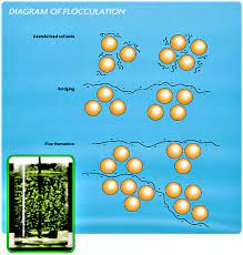We did not find results for: Coagulation Flocculation Sswm Find Tools For Sustainable Sanitation And Water Management