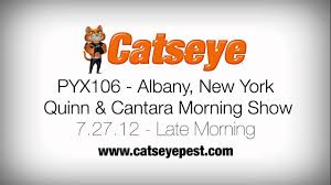 Business directory of new york. Pyx106 S Quinn Cantara Talking About Catseye S New Commercial Again Youtube
